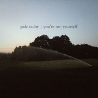 Pale Sailor - you're not yourself
