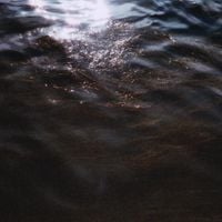 Moonpools - Pure Shores