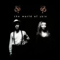 Skin - The World of Skin