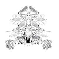 Beats Antique - Metamorphosis