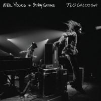 Neil Young & Stray Gators - Tuscaloosa