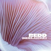 Grup Redd - Simulakrum