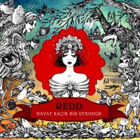 Grup Redd - Hayat Ka&ccedil;ık Bir Uykudur