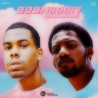 Bobnlarry - This Is Not An Album