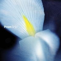 Prom - Iris
