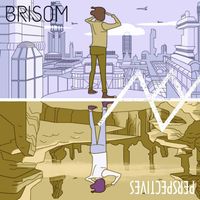 BRISOM - Perspectives