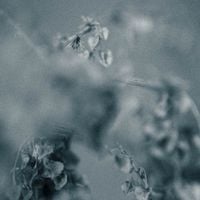Соннов [Sonnov] - juxitexuka