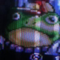 Nowhere Toad - monday laundering