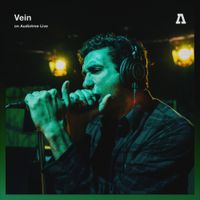 Vein.fm - Vein on Audiotree Live