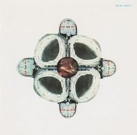 Solar Quest - Orgship