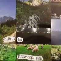 milion lat przestępnych - milion lat przestępnych