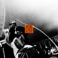 The Vices - Before It Might Be Gone (alternate versions)