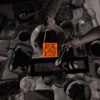 The Vices - Before It Might Be Gone (deluxe edition)