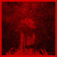 Caged Bastard - Mantra of Psychological Violence