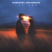 CamelPhat - The One