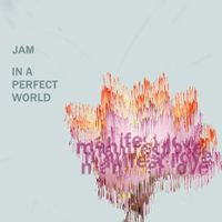 Jamuation - IN A PERFECT WORLD