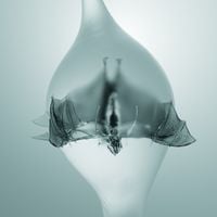 Unprocessed - Head in the Clouds
