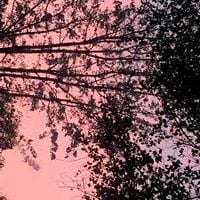 Quadeca - sorry for nothing