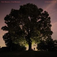 Tyler Ramsey - Celestun