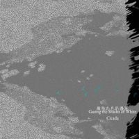 Cicada - 凝視白色的邊界 [Gazing the Shades of White]