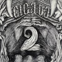 Cicada - CICADA 2