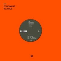 The Gondwana Orchestra - Colors