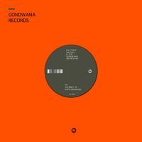 Matthew Halsall & The Gondwana Orchestra - Journey in Satchidananda / Blue Nile