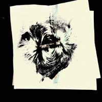 Bella? - Bansheewalking