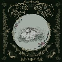Baby Bugs - Wishing For Wounds