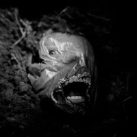 Negatives - Until We Are Laid To Waste