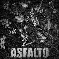 Room6 - Asfalto