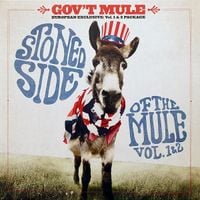 Gov't Mule - Stoned Side of The Mule, Vols. 1-2