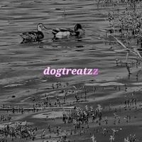 dogtreatz - dogtreatzz