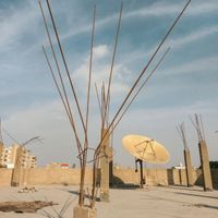 Alberto Boccardi - Cairo Primo