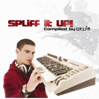 Various Artists - Spliff It Up!
