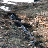 Morwan - Ubila mogila