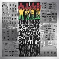 A Tribe Called Quest - Pubic Enemy