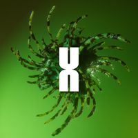 DJ SWISHERMAN - Roots EP