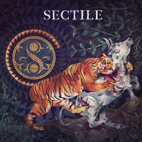 Sectile - Sectile