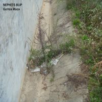 Nephets Blip - Gutter Muck