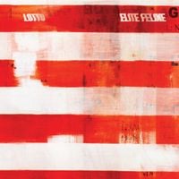 Lotto - Elite Feline