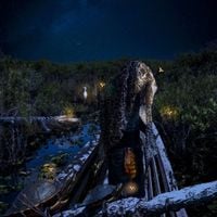 wokstarshawtyy - the swamp