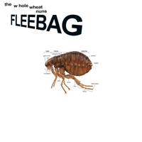 The Whole Wheat Nuns - Fleebag