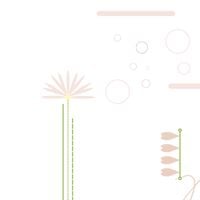 sai - passion project