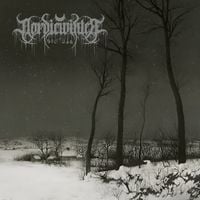 Nordicwinter - Solitude