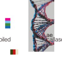 callasoiled - ae