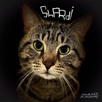 stig bink - shardi