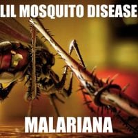 Lil Mosquito Disease - Malariana