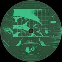 Shedbug - There's Hope for You Yet