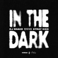 DJ Snake - In The Dark